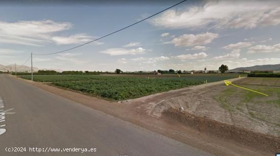  SE VENDE PARCELA RUSTICA JUNTO VEREDA MERANCHO, MONTEAGUDO - MURCIA 