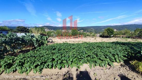  FINCA DE MÁS DE TRES MIL METROS CUADRADOS EN SAN CIBRAO DAS VIÑAS. - ORENSE 