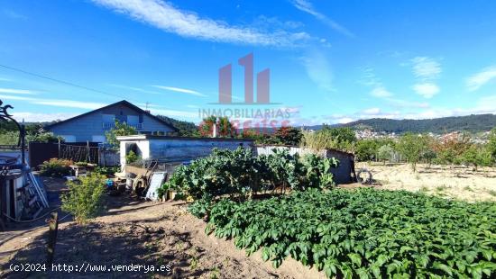 FINCA DE MÁS DE TRES MIL METROS CUADRADOS EN SAN CIBRAO DAS VIÑAS. - ORENSE