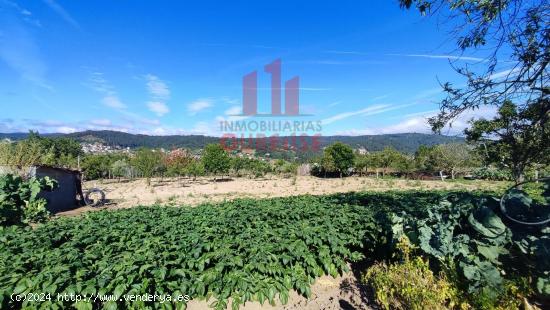 FINCA DE MÁS DE TRES MIL METROS CUADRADOS EN SAN CIBRAO DAS VIÑAS. - ORENSE