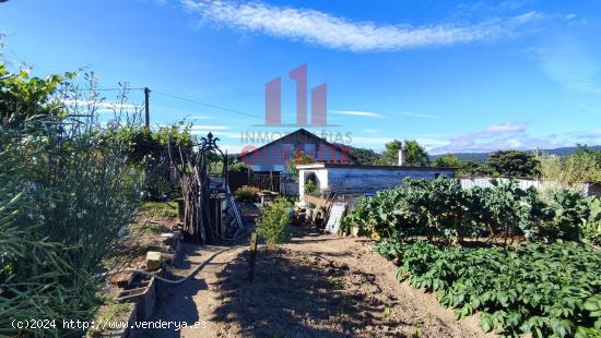 FINCA DE MÁS DE TRES MIL METROS CUADRADOS EN SAN CIBRAO DAS VIÑAS. - ORENSE