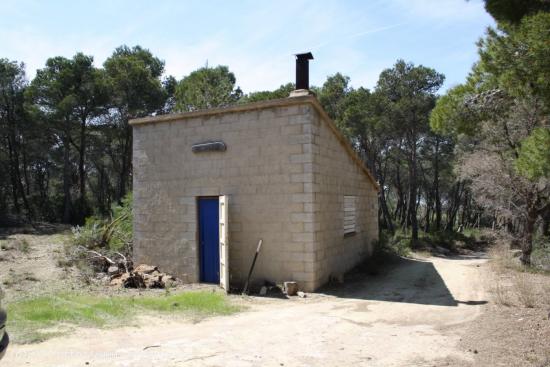 OCASION FINCA RUSTICA CON MASIA EN LA FATARELLA - TARRAGONA