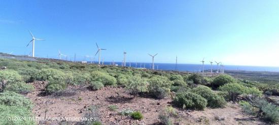 TERRENO EN ABADES, ARICO - TENERIFE SUR - SANTA CRUZ DE TENERIFE