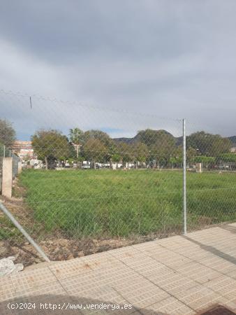  VENTA DE CUATRO PARCELAS EN BENIAJÁN. - MURCIA 