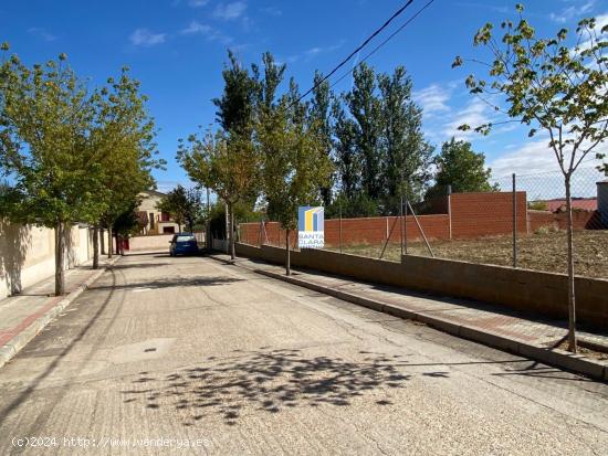  PARCELA URBANA EN VENTA EN CORRALES DEL VINO (ZAMORA) - ZAMORA 