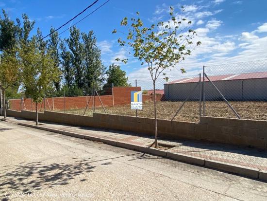 PARCELA URBANA EN VENTA EN CORRALES DEL VINO (ZAMORA) - ZAMORA