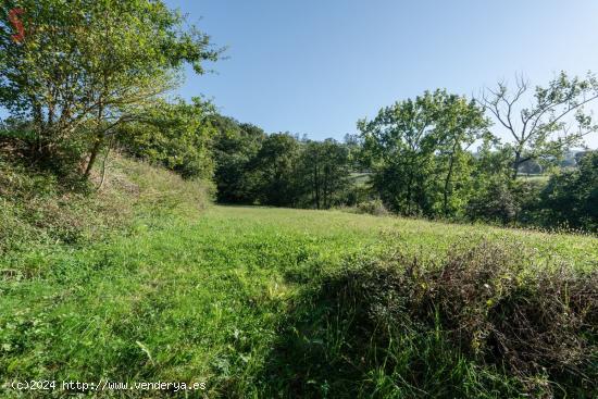 Se vende terreno con cabaña en Saro - CANTABRIA