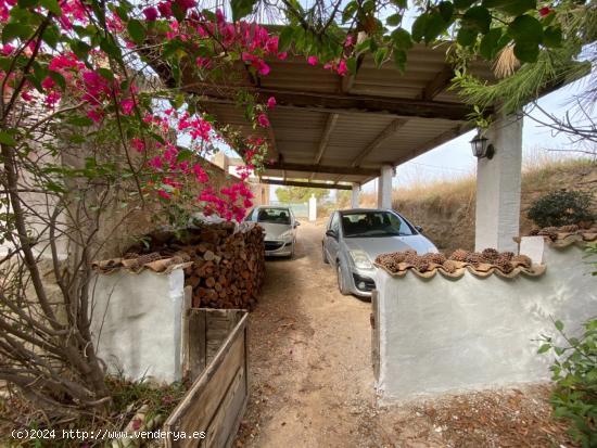 MASÍA EN LA ZONA DEL MORALET - ALICANTE