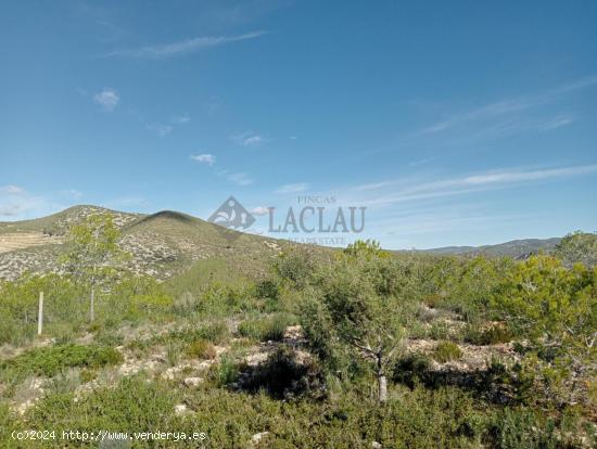 Parcelas frente Parque del Garraf orientación sur con vistas listas para construir en Olivella. - B