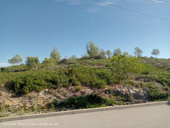 Parcelas frente Parque del Garraf orientación sur con vistas listas para construir en Olivella. - B