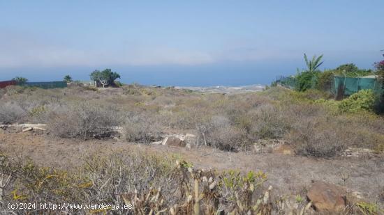 Terreno en Tijoco Bajo - SANTA CRUZ DE TENERIFE