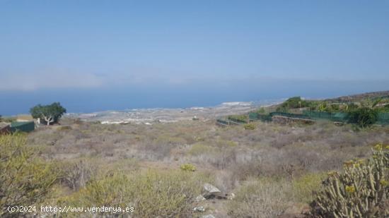 Terreno en Tijoco Bajo - SANTA CRUZ DE TENERIFE