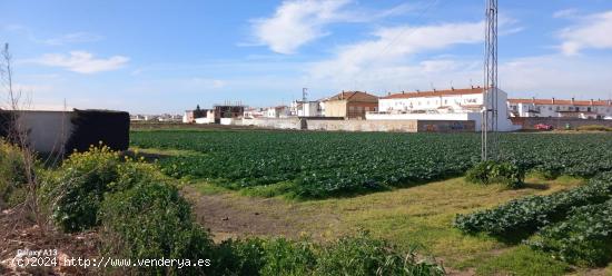  SOLAR URBANO EN AVDA. DE EUROPA DE MONTIJO - BADAJOZ 