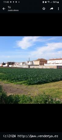 SOLAR URBANO EN AVDA. DE EUROPA DE MONTIJO - BADAJOZ