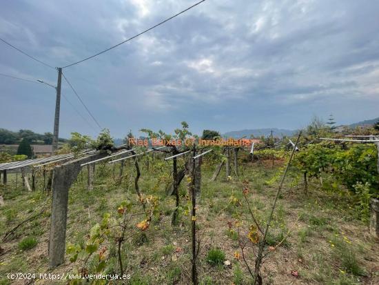 REF 4183 SOLAR DE 836m2 EN ZONA ALTA Y VISTAS DESPEJADAS TAMEIGA ( MOS ) - PONTEVEDRA