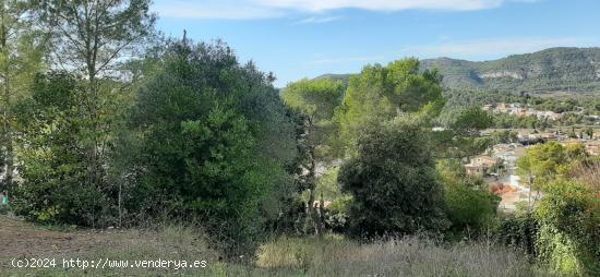 Terreno urbano muy buena orientacion - BARCELONA