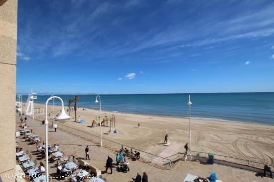 Apartamento en primera línea de playa en Guardamar - ALICANTE