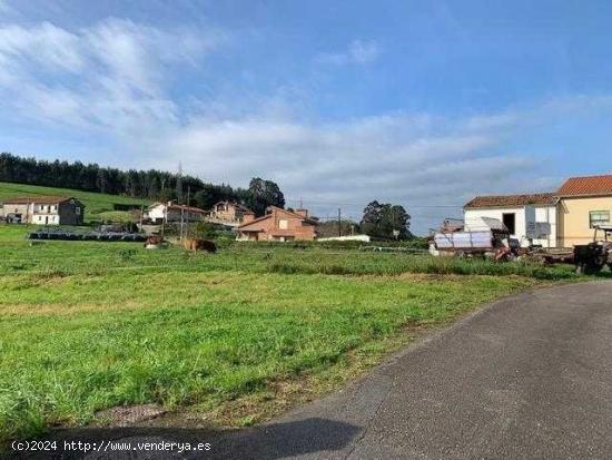 Terreno urbano en Polanco - CANTABRIA