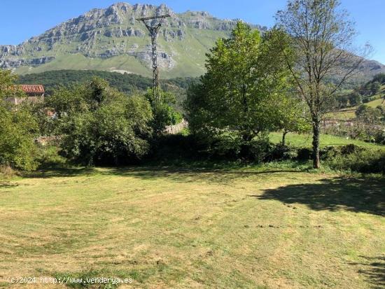  SE VENDE TERRENO URBANO EN ARREDONDO (CANTABRIA) - CANTABRIA 