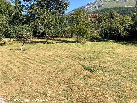 SE VENDE TERRENO URBANO EN ARREDONDO (CANTABRIA) - CANTABRIA