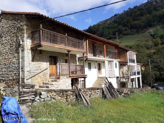 SE VENDE CASA DE PIEDRA DE TRES PLANTAS EN BUSTABLADO - ARREDONDO (CANTABRIA) - CANTABRIA