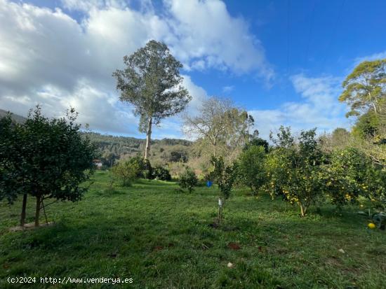 TERRENO CON POSIBILIDAD DE CONSTRUIR UNA VIVIENDA UNIFAMILIAR - CANTABRIA