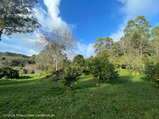 TERRENO CON POSIBILIDAD DE CONSTRUIR UNA VIVIENDA UNIFAMILIAR - CANTABRIA