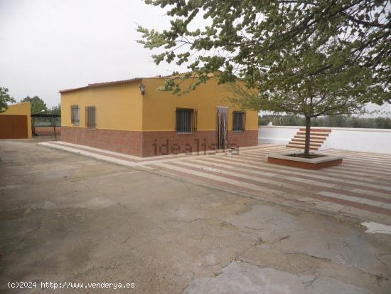 Se Vende en Argamasilla de Calatrava - CIUDAD REAL