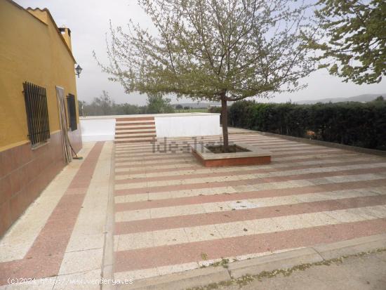 Se Vende en Argamasilla de Calatrava - CIUDAD REAL