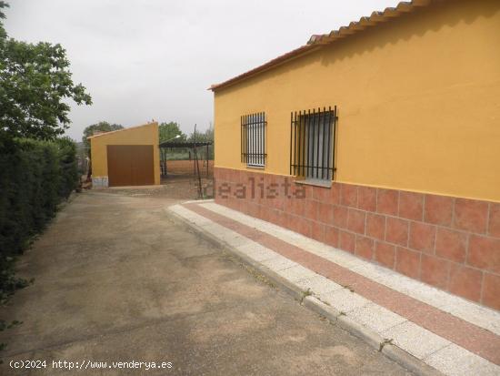 Se Vende en Argamasilla de Calatrava - CIUDAD REAL