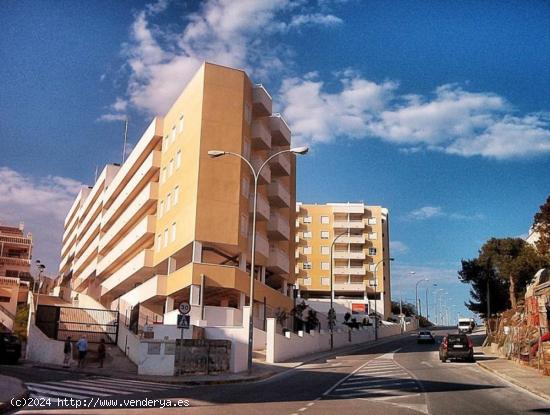 APARTAMENTO CON PISCINA Y GARAJE - ALICANTE