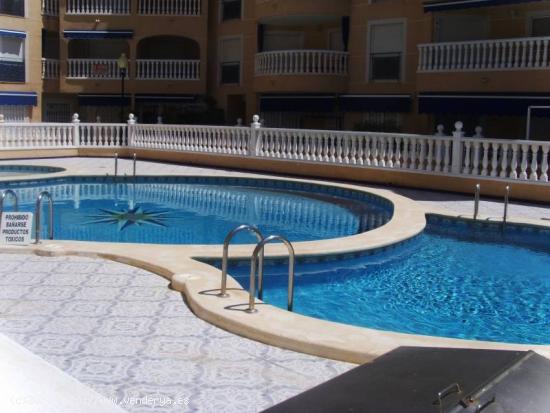 APARTAMENTO CON PISCINA GRAN PLAYA - ALICANTE