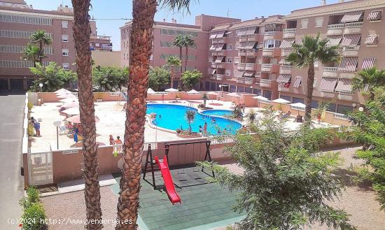  APARTAMENTO CON PISCINA - ALICANTE 