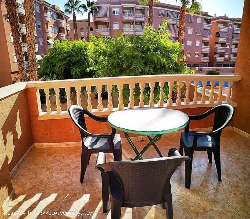 APARTAMENTO CON PISCINA - ALICANTE