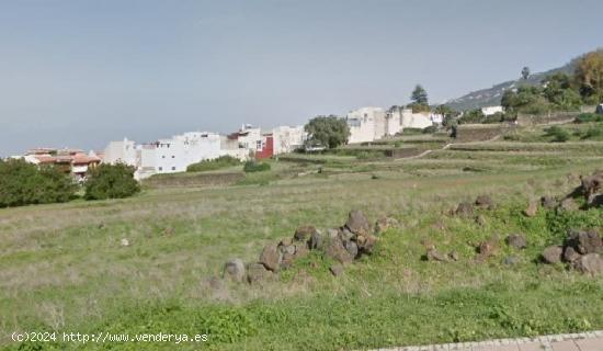  SUELO EL MAYORAZGO - LA OROTAVA - SANTA CRUZ DE TENERIFE 