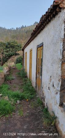 Finca agrícola con casa terrera antigua - SANTA CRUZ DE TENERIFE