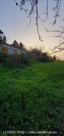 Finca agrícola con casa terrera antigua - SANTA CRUZ DE TENERIFE