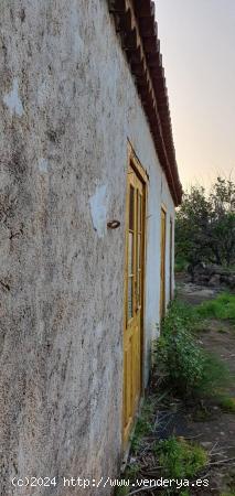 Finca agrícola con casa terrera antigua - SANTA CRUZ DE TENERIFE