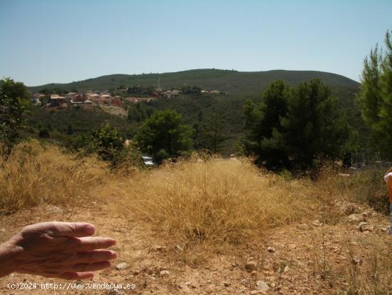 PARCELA CON MAGNÍFICAS VISTAS EN URB ALTURY DE TURIS - VALENCIA