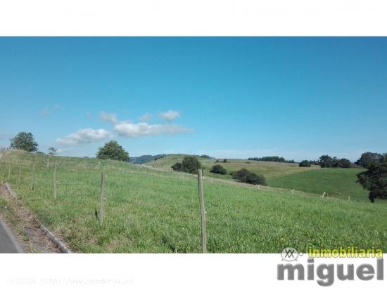 Se vende parcela  edificable de 1.501m2 en Ribadedeva, al término de Noriega - ASTURIAS