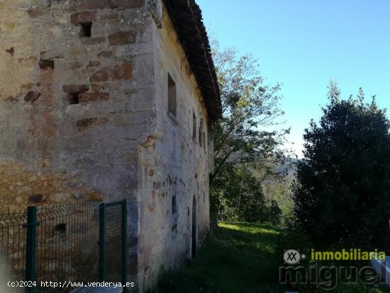 Se vende Casa-Palacio en La Collada ,Peñamellera Alta - ASTURIAS