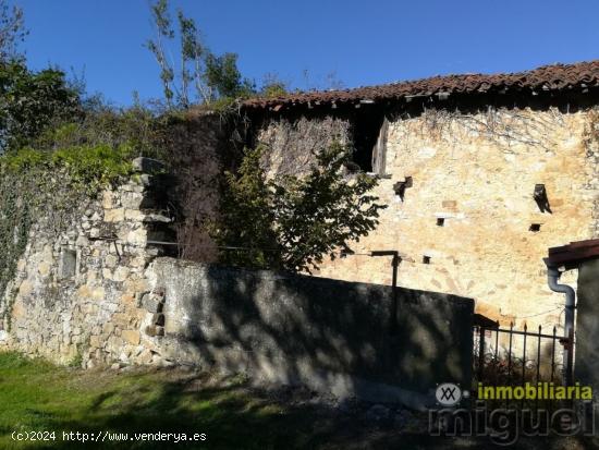 Se vende Casa-Palacio en La Collada ,Peñamellera Alta - ASTURIAS