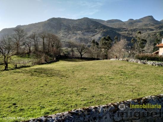 Se vende Terreno Urbano en Celis (Herrerias) - CANTABRIA