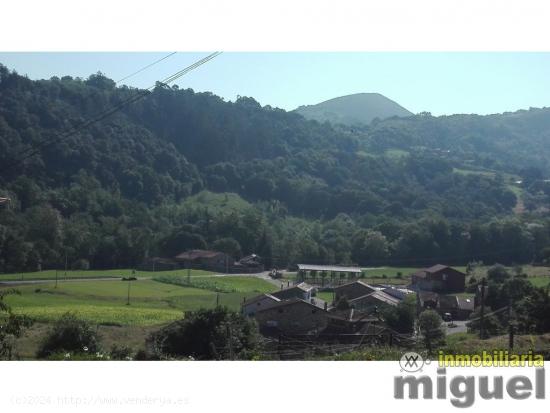 Se vende casa de piedra para rehabilitar  con jardín en Cades - CANTABRIA