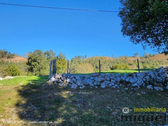 Se venden parcelas edificables en la Franca, Concejo de Ribadedeva - ASTURIAS