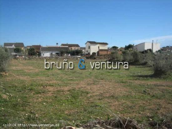  EN VENTA TERRENO EN SANTA OLIVA - TARRAGONA 