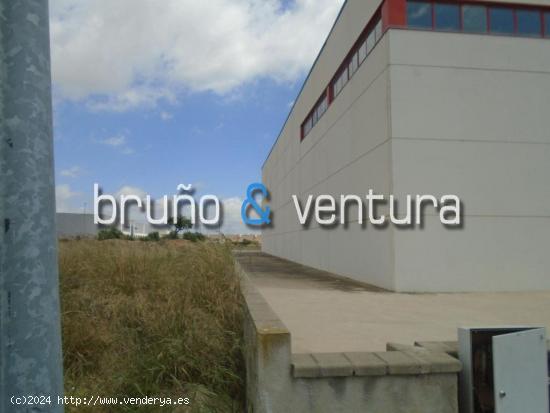 En venta nave industrial en La Bisbal del Penedès - TARRAGONA