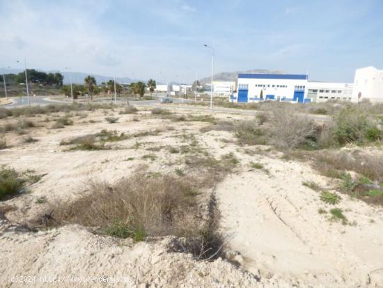 TERRENO INDUSTRIAL EN FINCA LACY - ALICANTE