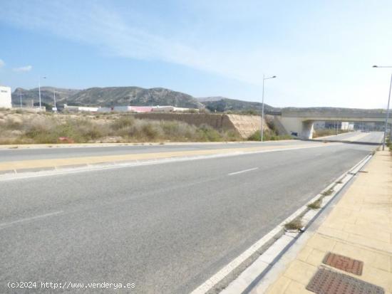 TERRENO INDUSTRIAL EN FINCA LACY - ALICANTE