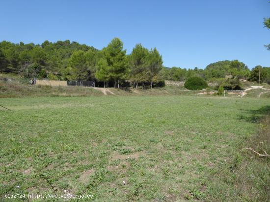 VENTA MASIA EN TOUS CON PISCINA Y ERMITA!! - BARCELONA